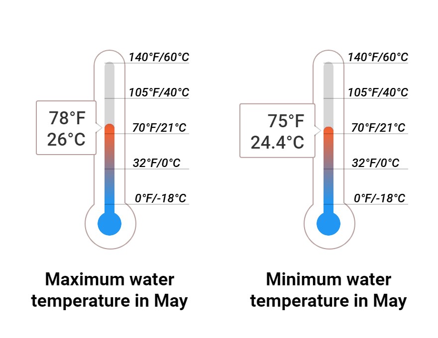 Average Sea temperature